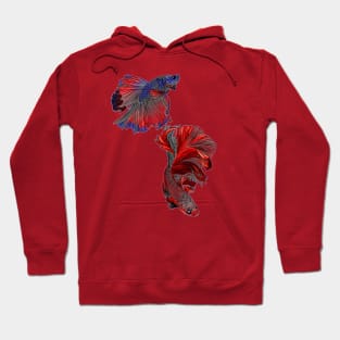 red ruby ornamental fish Hoodie